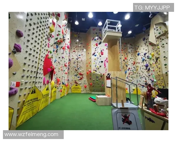 攀岩深度揭秘深圳攀岩队如何在挑战中实现反击与突破